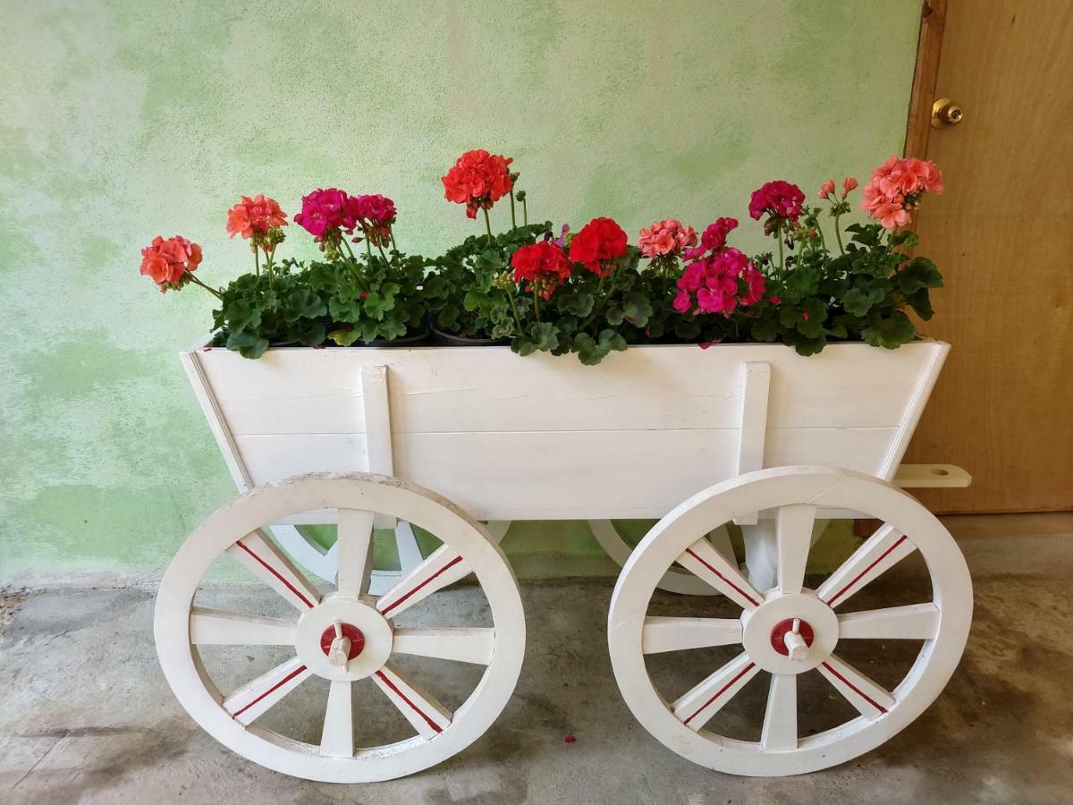 El Paraiso De Zacatlan Departamento Con Jardin, 11 Pax Экстерьер фото
